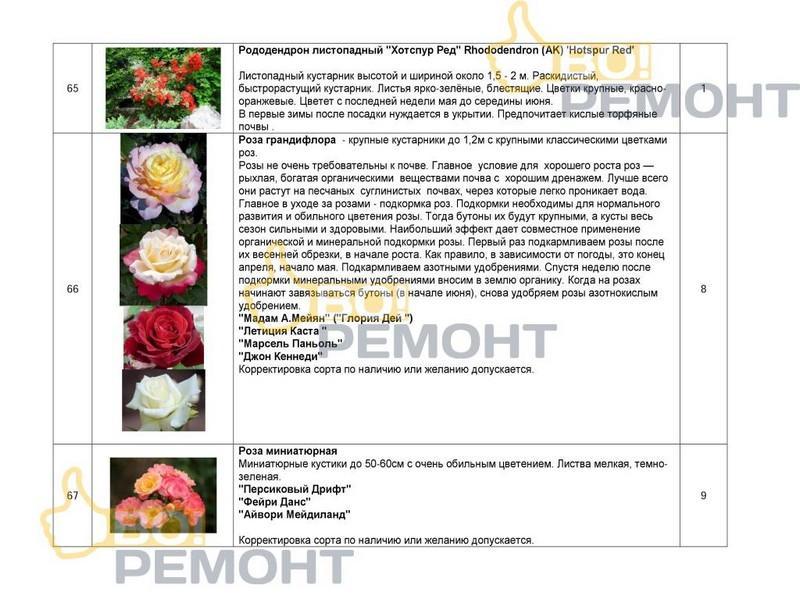 Проект благоустройства территории-102